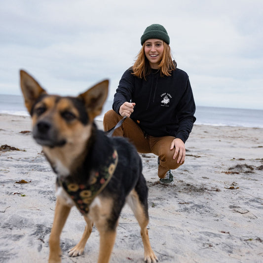 Dawn Patrol Hoodie - Black Heather